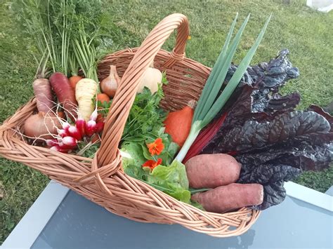 Vendre des paniers de légumes et de fruits entre particuliers