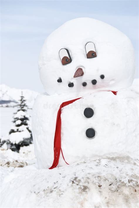 Boneco De Neve Gigante Foto De Stock Imagem De Real Grande