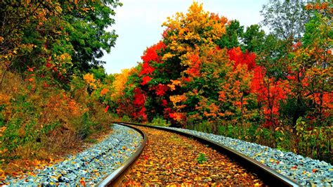 uhd wallpapers: Fall Train Tracks wallpaper