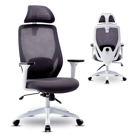 Buy Bonzy Home Ergonomic Office Chairhigh Back Mesh Computer Chair