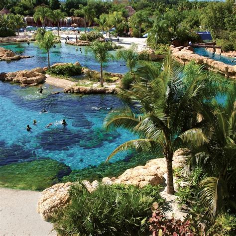 Discovery Cove tickets | Orlando