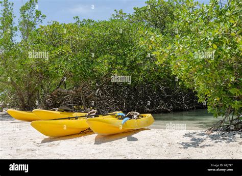 Kayaks en la playa Mangel Halto en Aruba una isla paradisíaca del