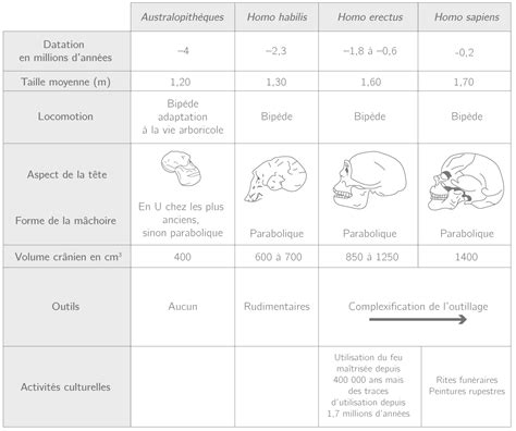 L évolution de l Homme TS Fiche bac SVT Kartable