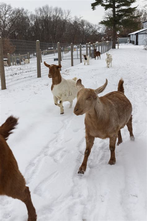 Plan Your Winter Trip to Galena, One of Illinois' Most Charming Small