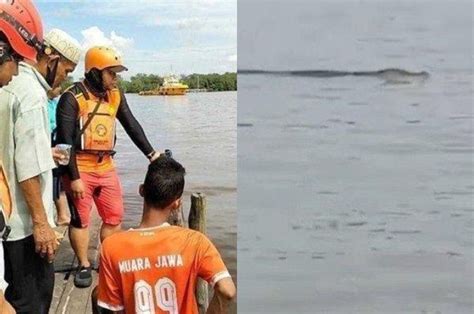 Kronologi Video Viral Buaya Antar Jasad Balita Ke Tepi Sungai Ternyata