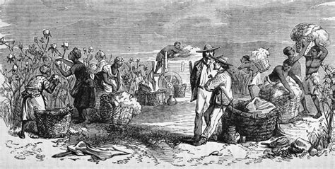 Startling Things About Sex Farms During Slavery That You May Not Know