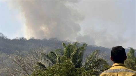 Incendios En El Amazonas Lo Que Se Sabe De Cómo Se Originaron Los