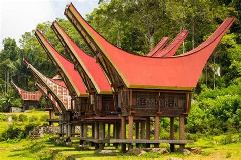 Mengenal Budaya Dari Tana Toraja Hemaviton