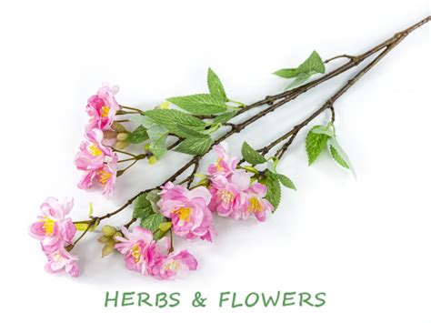 Ветка яблони, 63см, розовый купить искусственные Ветви в Москве с доставкой