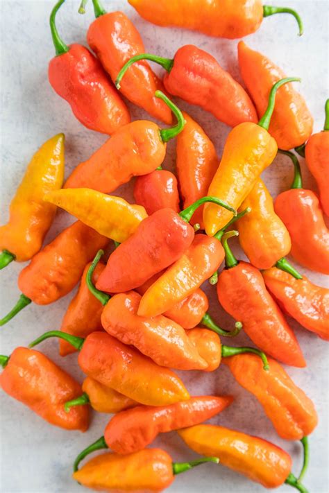 Ghost Pepper Bhut Jolokia All About Them Stuffed Peppers Bhut