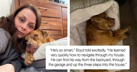 Blind Rescue Dogs Excitement On Getting His Own Bed After 8 Years Of