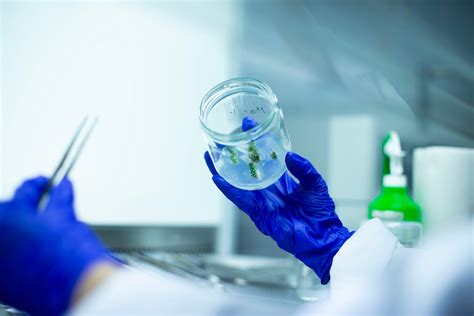 Is MyIntegris Health Worth The Hype? A Deep Dive Image 10