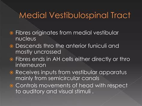 Pyramidal Tract And Extra Pyramidal Tracts Ppt