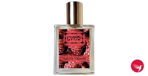 Malina velours EVOY Parfum - ein es Parfum für Frauen 2020