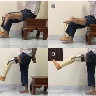 (A) Range of motion of the ankle joint: maximum plantar flexion (70 ...