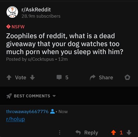 What The Actual Fuck R HolUp