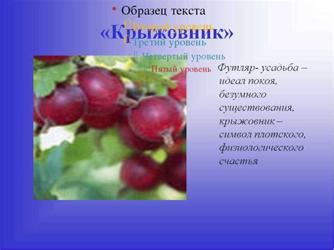 Презентация "А.П.Чехов “Крыжовник”" - скачать бесплатно