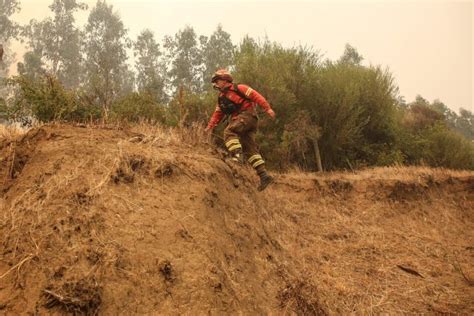 Gobierno Confirm Muerte De Brigadista Forestal Que Combat A Incendios