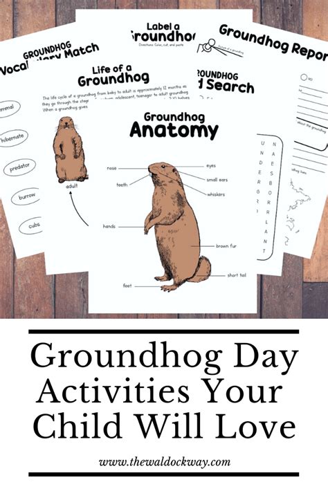 Free groundhog day fun activities, Download Free groundhog day fun activities png images, Free ...