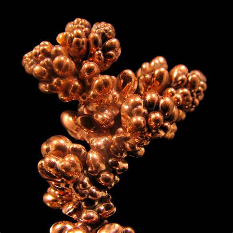 Copper Dendrites | This dendritic structure of pure copper w… | Flickr
