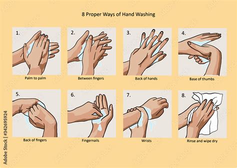 Vector Illustration Of Proper Hand Washing Steps Stock Vector Adobe Stock