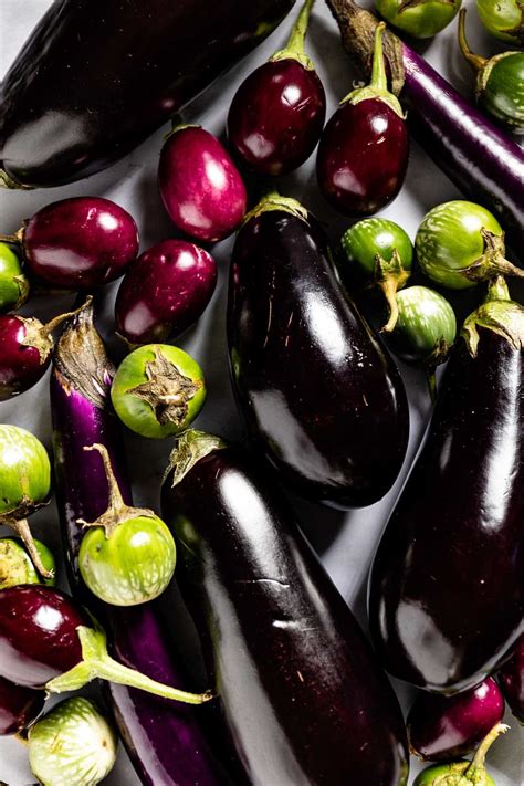 11 Types Of Eggplants 58 Off Dobytudesigncz