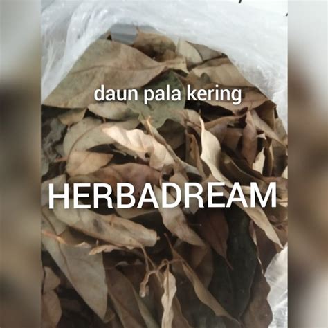 Jual PREMIUM ORGANIK DAUN PALA POLO NUTMEG SEED ROU DOU KOU FALO BUBULA