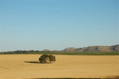 Что такое пампа (пампы) | Ответы Mail