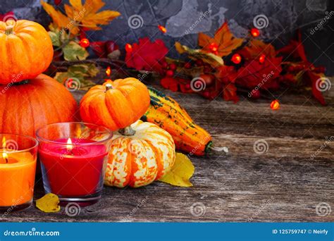 Fall harvest of pumpkins stock image. Image of holiday - 125759747