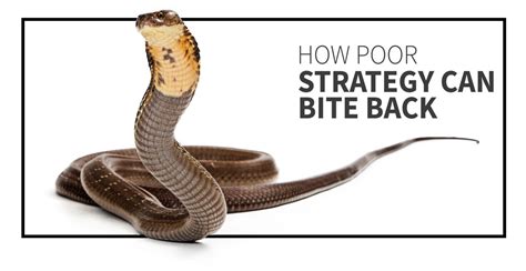 The Cobra Effect; Avoid This Business Strategy Mistake