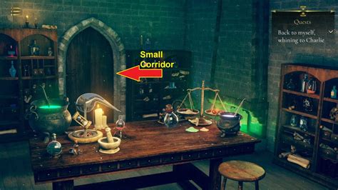 Magic Pussy Chapter 1 All Locations Map GamePretty