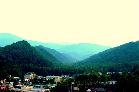 tree top gatlinburg tn 1