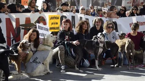 Miles De Personas Se Manifiestan En Espa A Para Pedir El Fin De La Caza