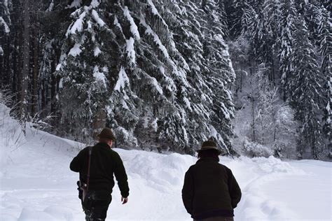 Jagd ist, wenn die Arbeit nach Feierabend beginnt - Jagdfakten.at