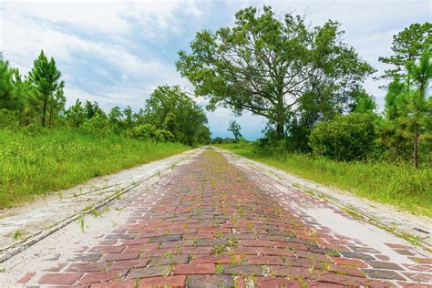 Old Dixie Highway in Florida Photograph by Michael Warren