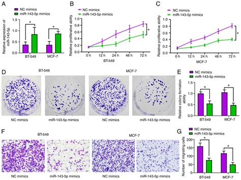 Overexpression Of Mir P Suppresses Tumorigenesis Of Breast Cancer