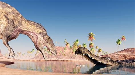 Found: An Ancient Fossil From A Crocodile The Size Of A Bus