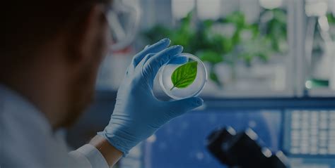 BioApplications Inc.