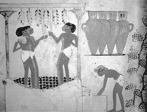 Shortnotes of History: Ancient fermentation