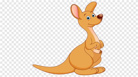 Kangaroo Animation Animated Cartoon Kangaroo Television Mammal Png