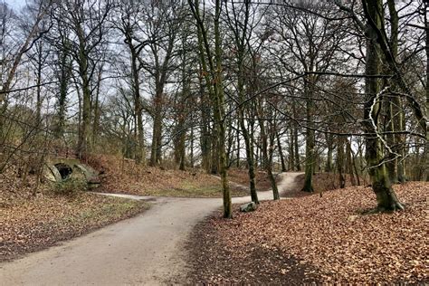 Lekker Naar Buiten 5 X Supermooie Korte Wandelroutes Door Zwolle