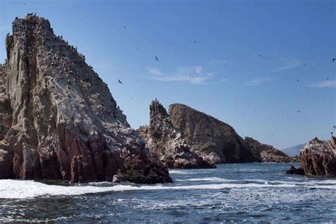 Réserve Nationale De Paracas