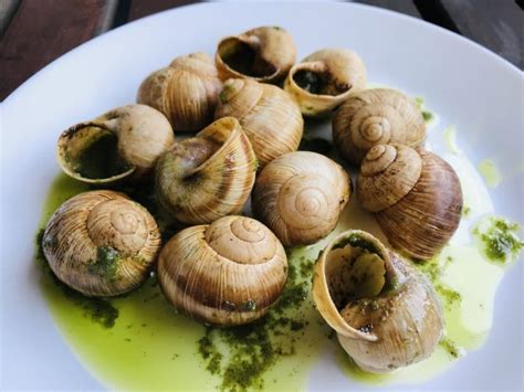 Eating Escargot French Snails Like The Locals