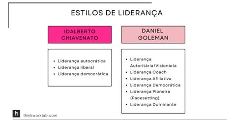 Estilos de liderança e as principais formas de liderar Think Work