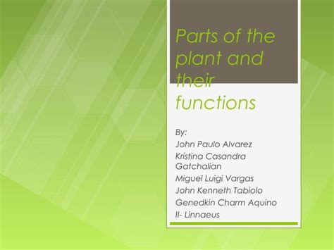 Parts of the plant and their functions | PPT