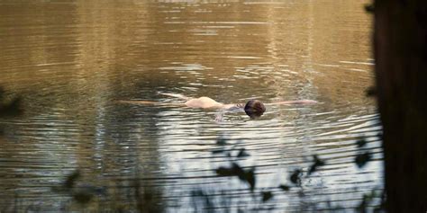 Gina Stiebitz Nude Scene From Dark Scandal Planet