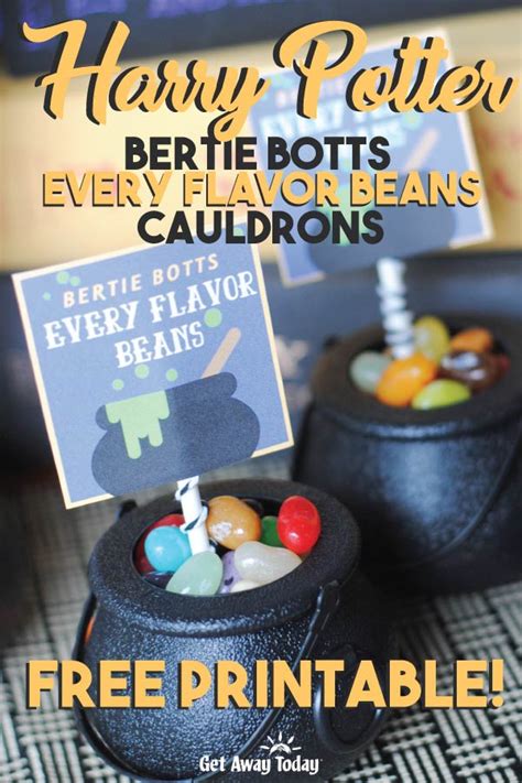 Bertie Botts Every Flavour Beans Guide