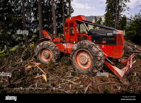 Timberjack machine at work in a commercial forest Stock Photo - Alamy