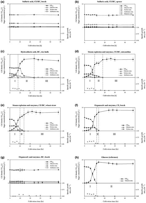 Time course of cultivation of Pseudomonas putida KT2440_xylAB with ...