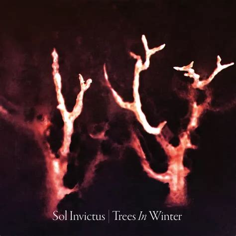 Sol Invictus Trees In Winter Cd Cuotas Sin Inter S